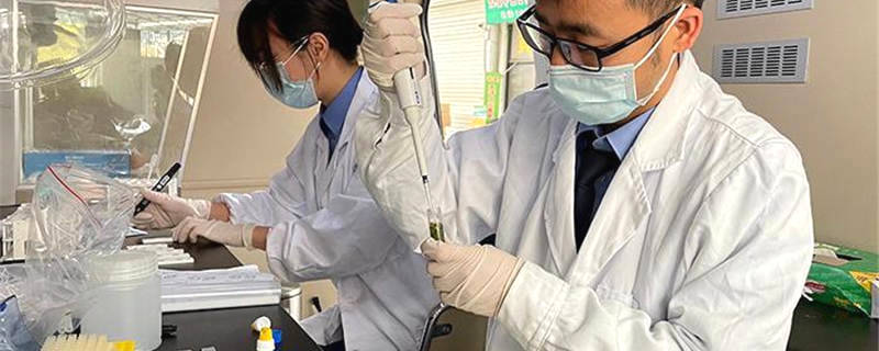 关于浙江缙云：春茶集中上市正当季 监管护周全的最新信息