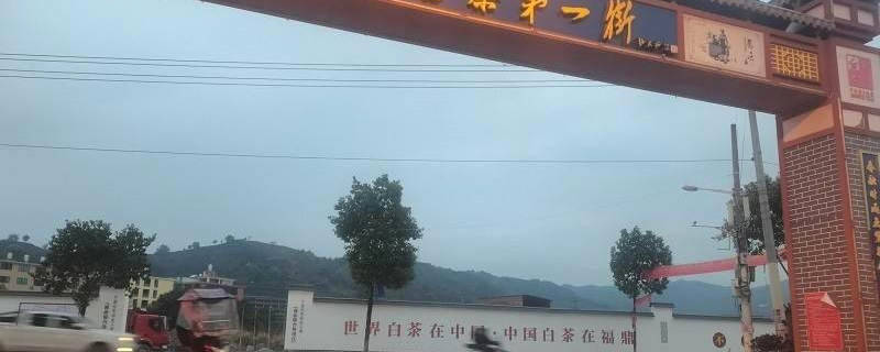 有关于一周速读丨福鼎茶企“备战”IPO、春茶价格上涨、品牌春茶营销怎么玩？的热门新闻