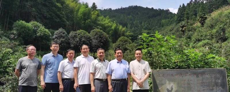 有关于海峡两岸茶业交流协会陈绍军会长一行赴三明调研茶产业的热门信息