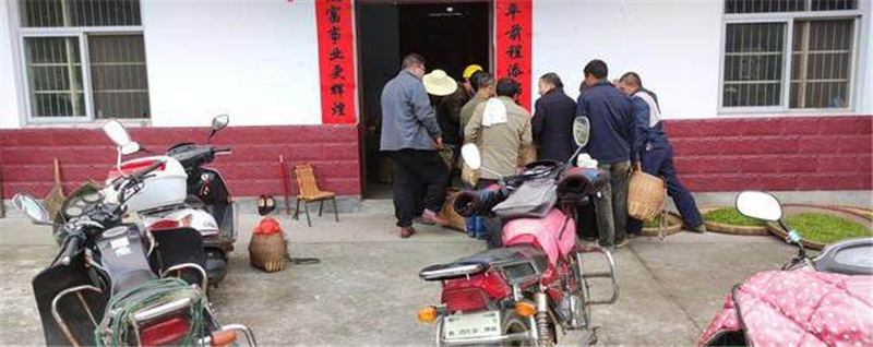 关于霍山区霍山黄芽开始大量上市 茶农卖茶终于出现人挤人的场面的消息