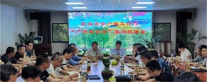关于宣城市茶产业工作暨“广德黄金芽”生产基地观摩会议在广德召开的热门新闻