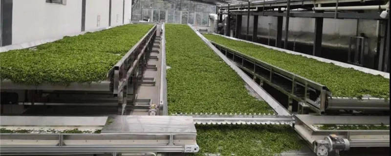 关于“数字化”已成年度高频词汇，茶产业如何乘势数字浪潮？的热门新闻