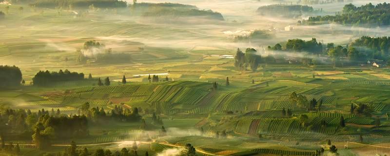 关于旅游产业化·发展故事，茶区变景区 茶山变金山 贵州茶旅融合促产业发展的最新资讯