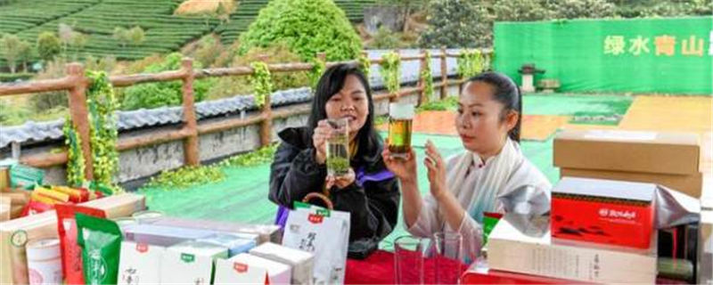 有关于昭平县24.2万亩茶园正式进入早春茶开采丰产期的最新信息