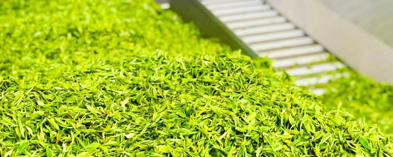 有关于湖北宜昌：萧氏“无人工厂”开机 喜提今春首批香茶的消息