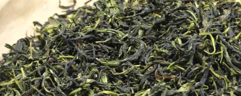 有关于春茶进入采摘季节！业内人士估计：今年单丛茶量减价升的热门信息