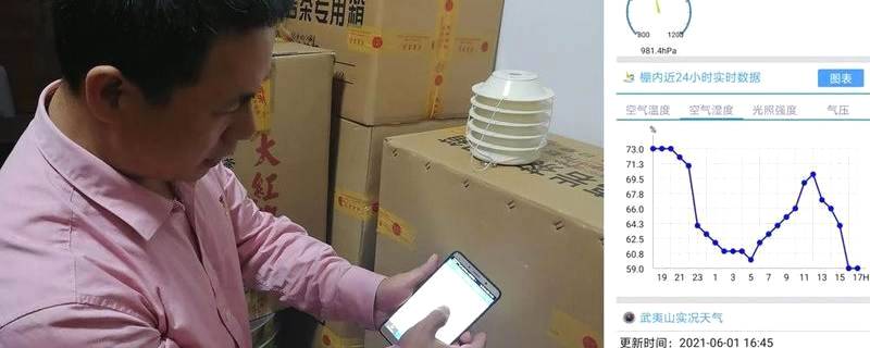 关于福建武夷山：“智慧茶仓”赋能茶产业发展的热门信息