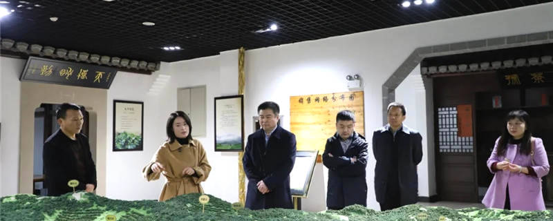 有关于中国供销惠农服务公司董事长刘鹤东一行赴黄山调研茶产业发展与合作的热门资讯