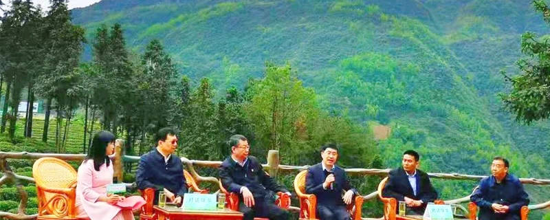 有关于第二届陕西网上茶博会热议茶叶品牌竞争力的最新信息