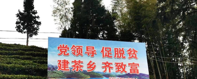 关于东莞茶协考察粤北茶区 振兴“粤茶”要唱响东莞声音的最新消息