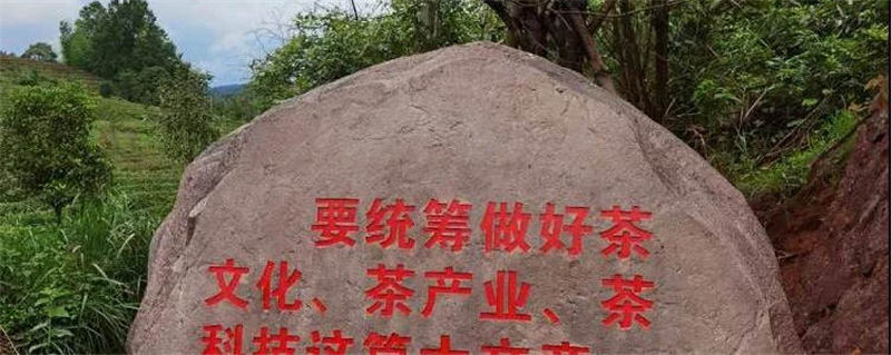 关于中茶协应邀参加农业农村部闽川两省茶业调研的消息