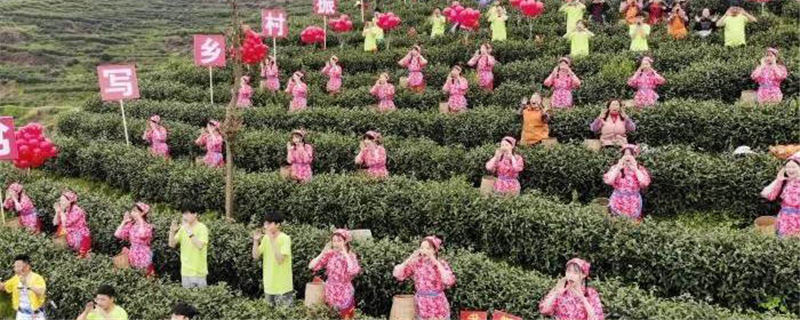 有关于四川大竹上演传统民俗“喊山开茶”（组图）的热门资讯