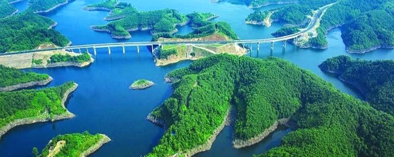 关于随州茶产业出口“四个对策”，重塑神农茶祖历史品牌的信息