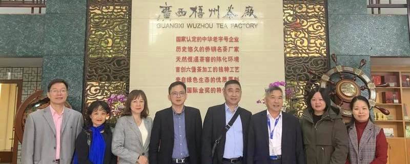 关于巴西巴中友好合作协会、文莱广西总商会到梧州考察六堡茶产业的热门新闻
