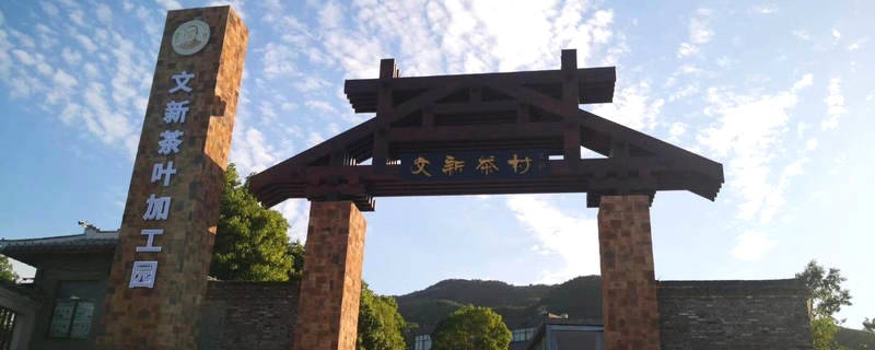 关于绿色发展 美好生活 文新茶村欢迎您来看中国最美茶园的信息