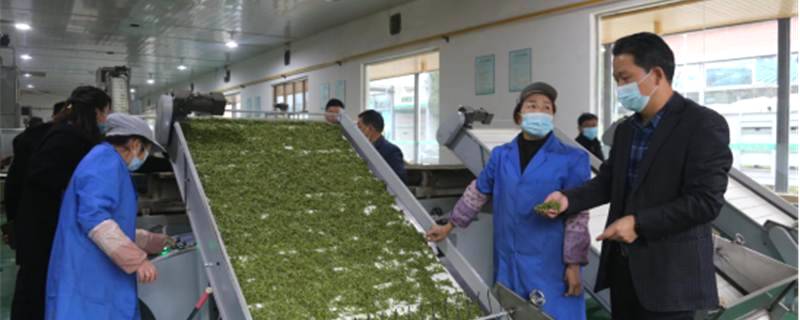 关于四川省旺苍县：培训“茶”能人 做大“茶产业”的最新消息