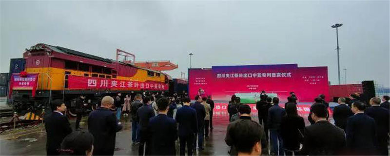 关于四川首趟茶叶专列驶向乌兹别克斯坦，满载1250吨绿茶的热门信息