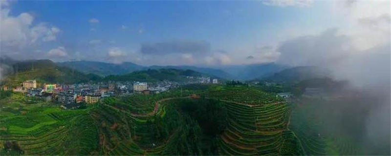 关于狠抓品质 提升品牌，寿宁高山红茶摘得“金质奖章”的热门消息