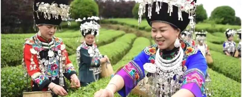 有关于黔茶喜获大丰收，一张张笑脸就是幸福生活的味道！的热门信息