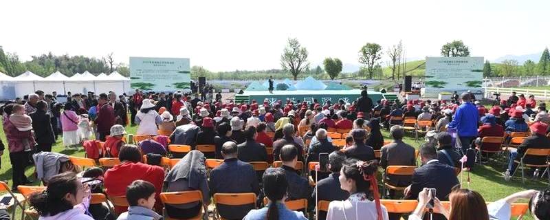 有关于中国有机茶之乡武义，一片茶叶拉动全产业链的热门新闻