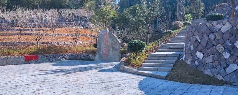 有关于泰顺：做大做优茶文化公园 提升市民幸福感的最新信息