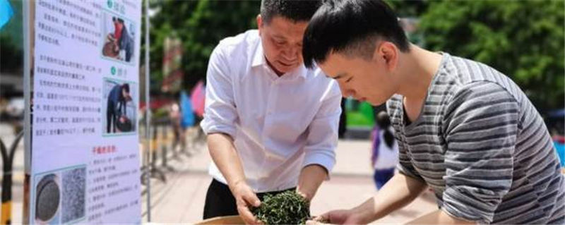 关于弘扬茶文化 乐昌白毛茶产业发展迈上新征程的热门资讯