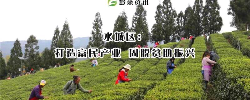 关于六盘水市水城区：打造富民产，固脱贫助振兴的热门消息