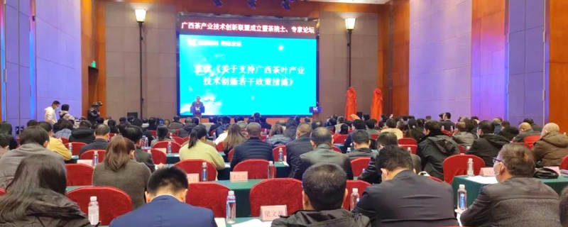 有关于广西推出“茶十条” 来宾茶产业高质量发展迎来新机遇的热门信息