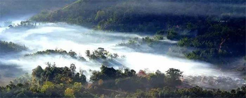 关于勐海县布朗山乡：守住绿水青山，才能有好茶山的热门信息