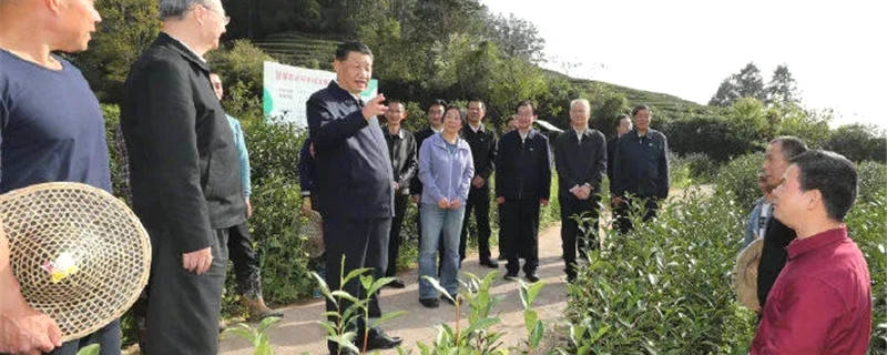 有关于一周茶事 | 春日中国，八方开茶！茶业获最新最权威指示的新闻