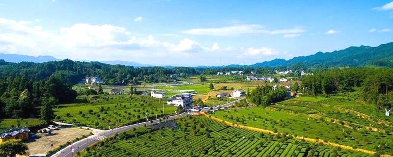 关于湄潭：以路为媒、以路助茶、以茶促旅、以旅兴茶的消息