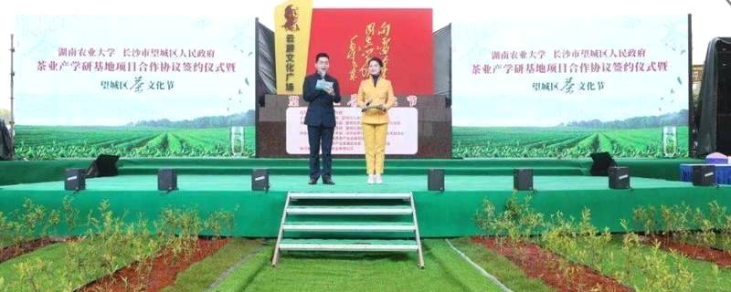 有关于湖南农业大学与望城区茶业产学研基地合作项目签约的资讯