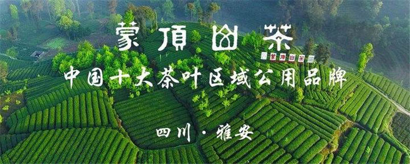 有关于加强交流学习 推动产业振兴 贵州凤冈县考察团在名山区考察学习的消息