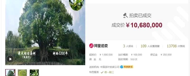 有关于茶行业｜劲爆头条：1068万元就干了这么一件事！！！的热门信息