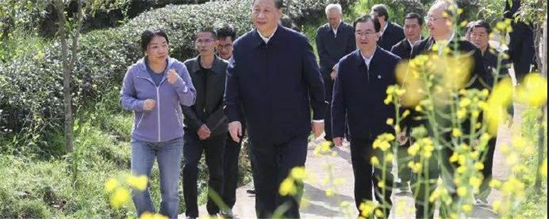 有关于认真落实“2021中国（武夷）茶产业统筹发展”重要指示精神，攀登云茶产业新高峰的热门资讯