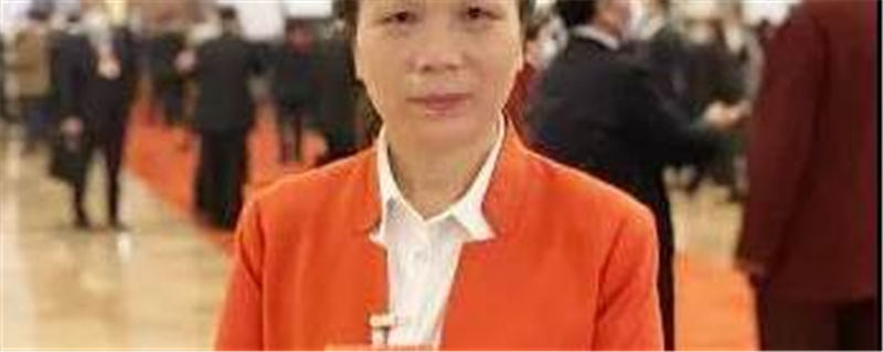 关于肖又香呼吁：支持安化县建成一二三产业融合发展先导区的最新资讯