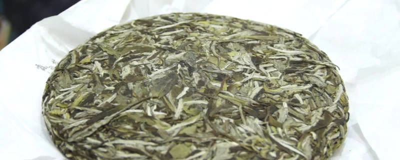 关于中国白茶产销情况：产销“涨”声不断，福鼎占据绝对优势的最新信息