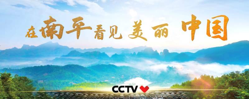关于南平两部公益宣传片亮相央视 展现武夷岩茶建盏建本等非遗文化的最新资讯