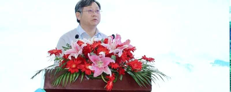 关于专家说徽茶：桐城小花、泾县兰香、黄花云尖......的资讯