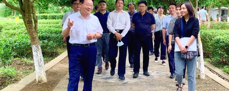 关于国家知识产权局调研汉中仙毫国家地理标志产品保护工作的热门新闻