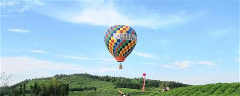 关于擦亮“茶叶之乡”名片，咸宁茶产业探索突围之路！的热门消息