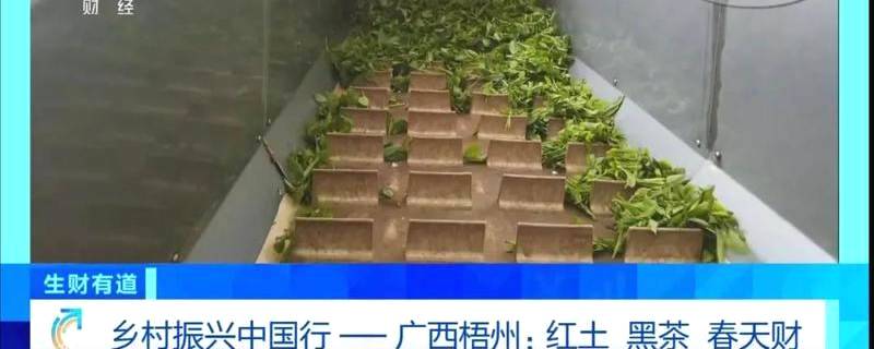 有关于梧州六堡茶又双叒叕上央视！为六堡茶打call！的资讯