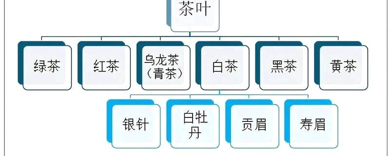 有关于2020年中国白茶产销现状：福鼎市是全国最大白茶生产基地之一的热门资讯