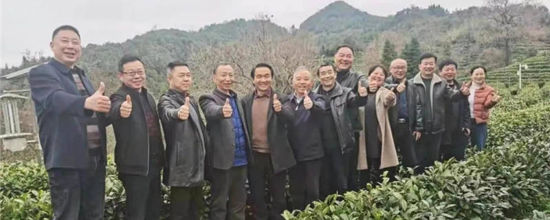 关于安徽：六安市茶协赴黄山考察交流茶产业发展的信息