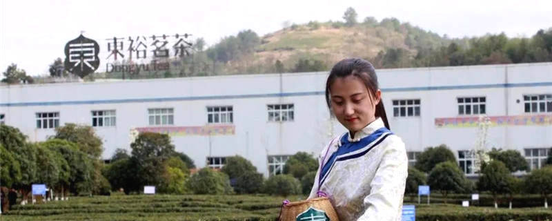 关于陕西东裕汉中仙毫今日开采 拉开陕西春茶上市序幕的热门新闻