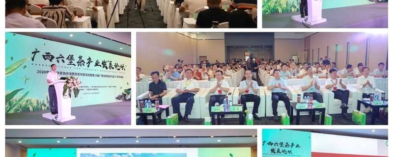 关于2020下半年六堡茶产业持续发力，这些热点你都关注了吗？的热门资讯