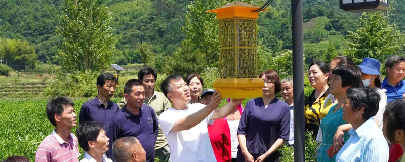 有关于舒城县：以科技推动茶业生产，助农增收，助力乡村振兴的信息