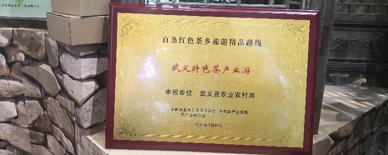 关于武义特色茶产业游入选百条红色茶乡旅游精品路线的热门新闻
