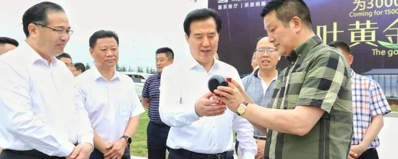 关于湖北：加强茶产业链建设，带动茶农增收致富的热门新闻