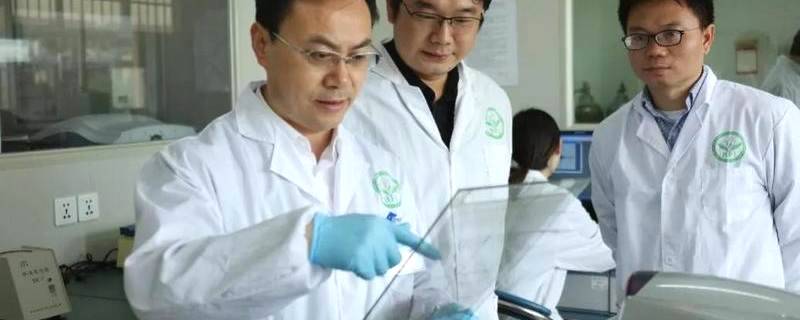 关于茶院士刘仲华解读茶科技：茶中蕴藏着人类健康的密码的热门新闻